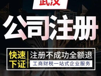 一站式企業服務 蔡甸區公司注冊、代理記賬與一對一診斷